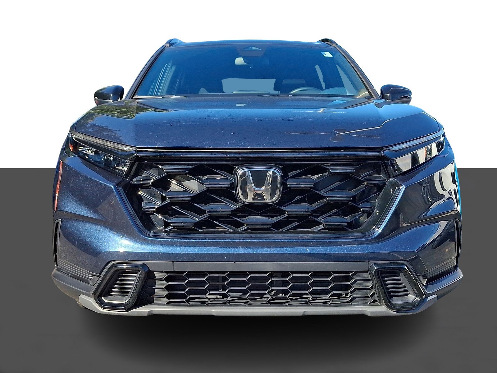 Used 2024 Canyon River Blue Metallic Honda Sport image 2