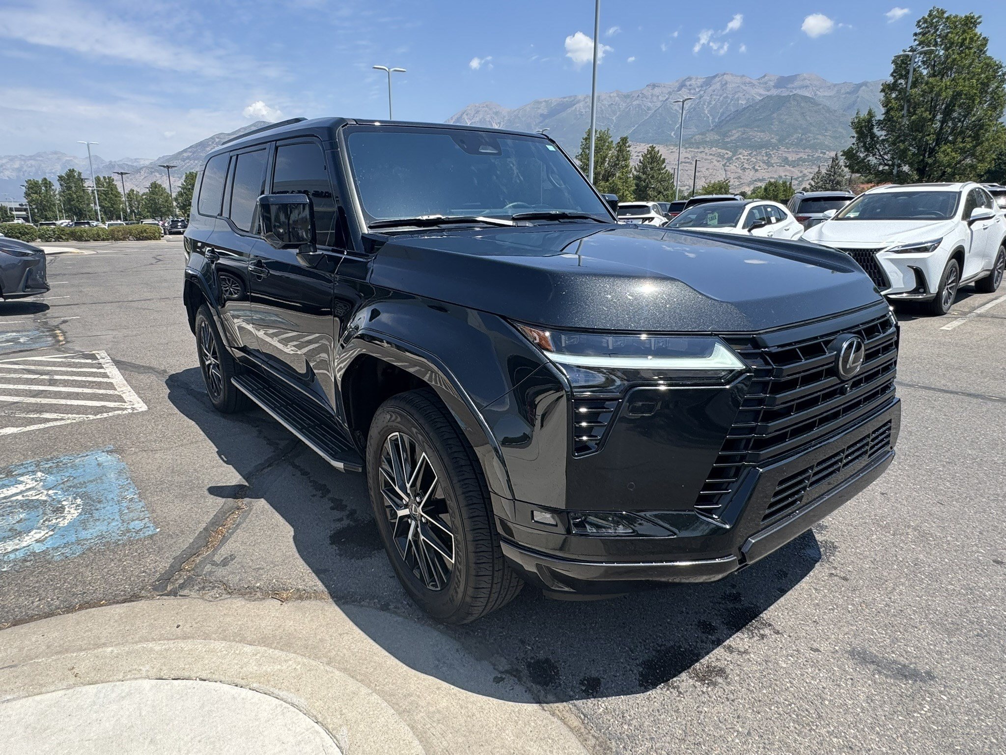 Used 2025 Black Lexus 550 Premium+ image 4