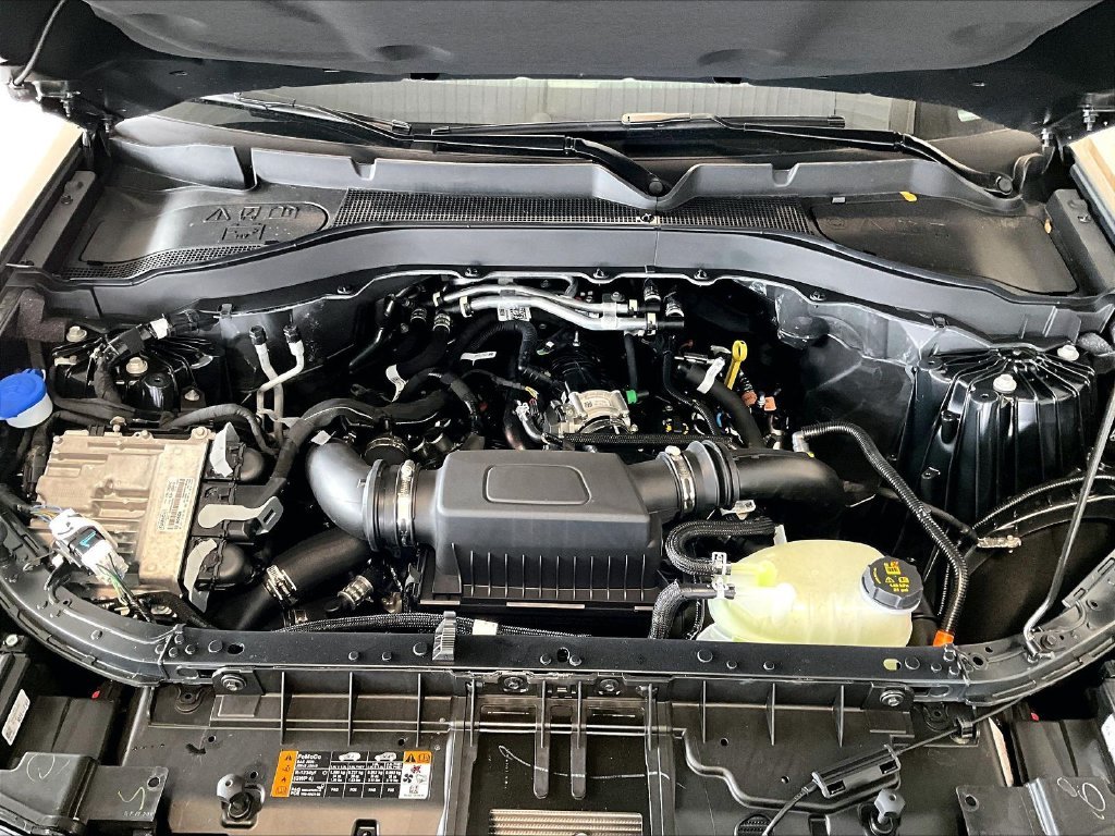 New 2027 Marsh Gray Ford Tremor image 16