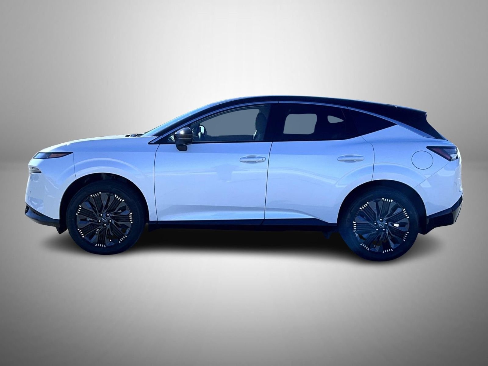 New 2026 Everest White Pearl TriCoat / Super Black Two-tone Nissan Platinum image 8