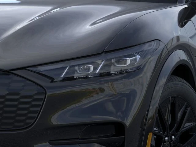 New 2026 Shadow Black Ford Premium image 18
