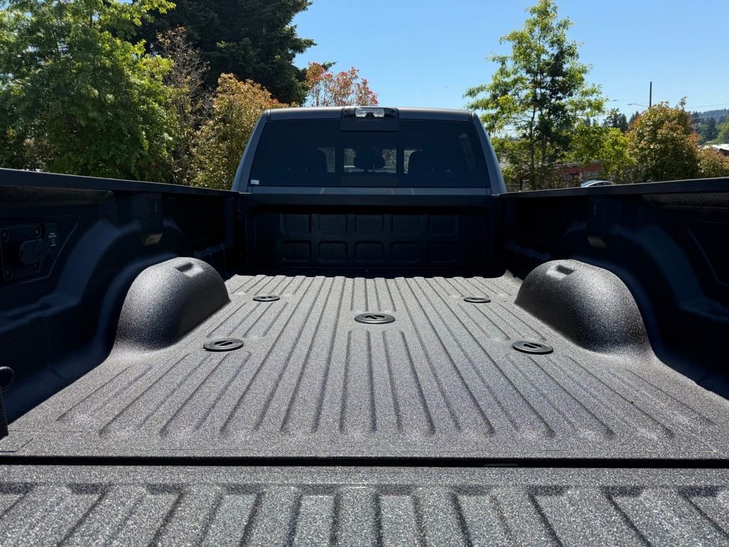 New 2026 Granite Crystal Metallic Clear-Coat Exterior Paint RAM Tradesman image 11