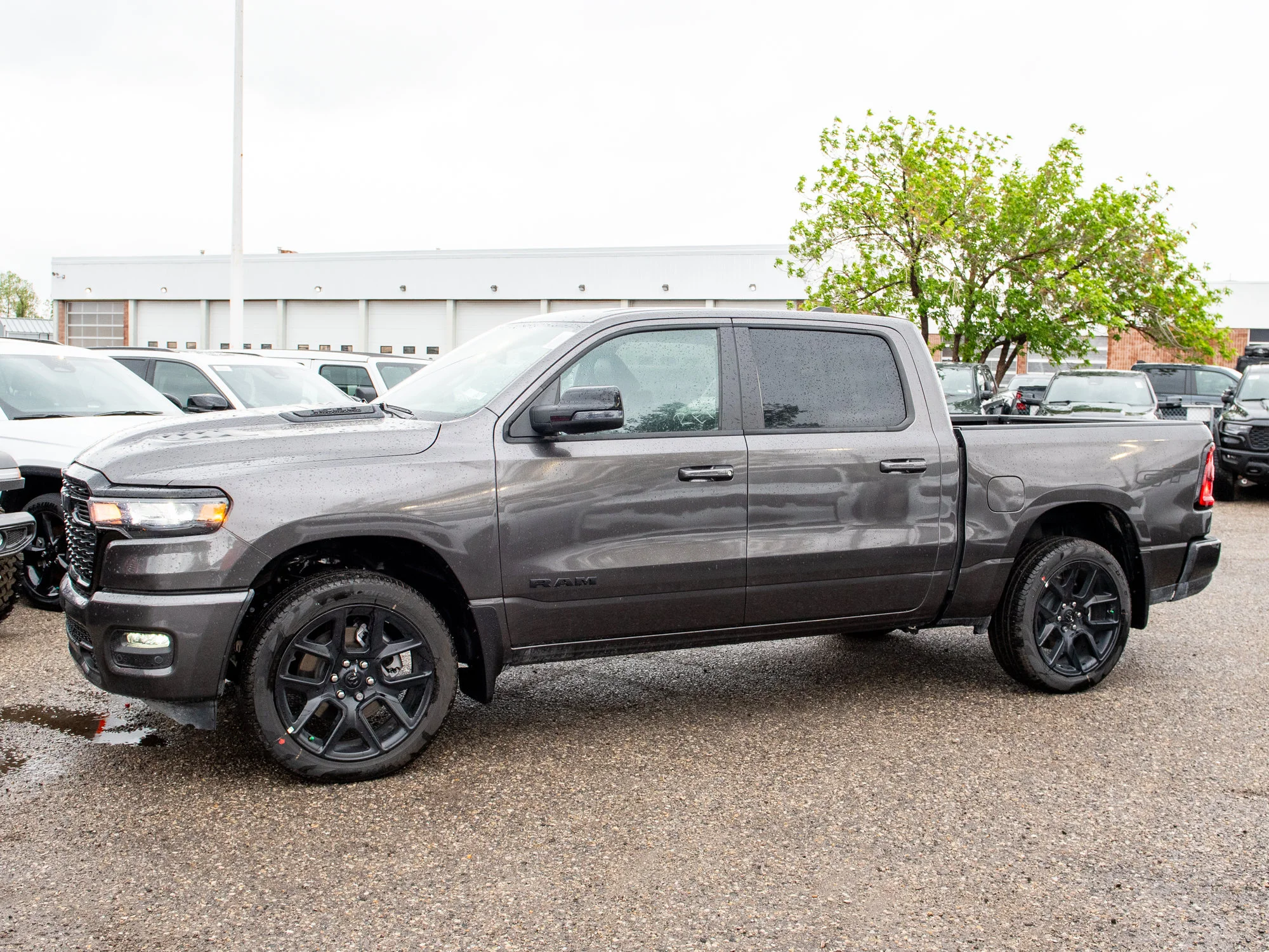 New 2026 Grey RAM Sport* image 2