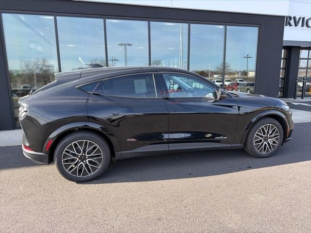 New 2026 Shadow Black Ford Premium image 2