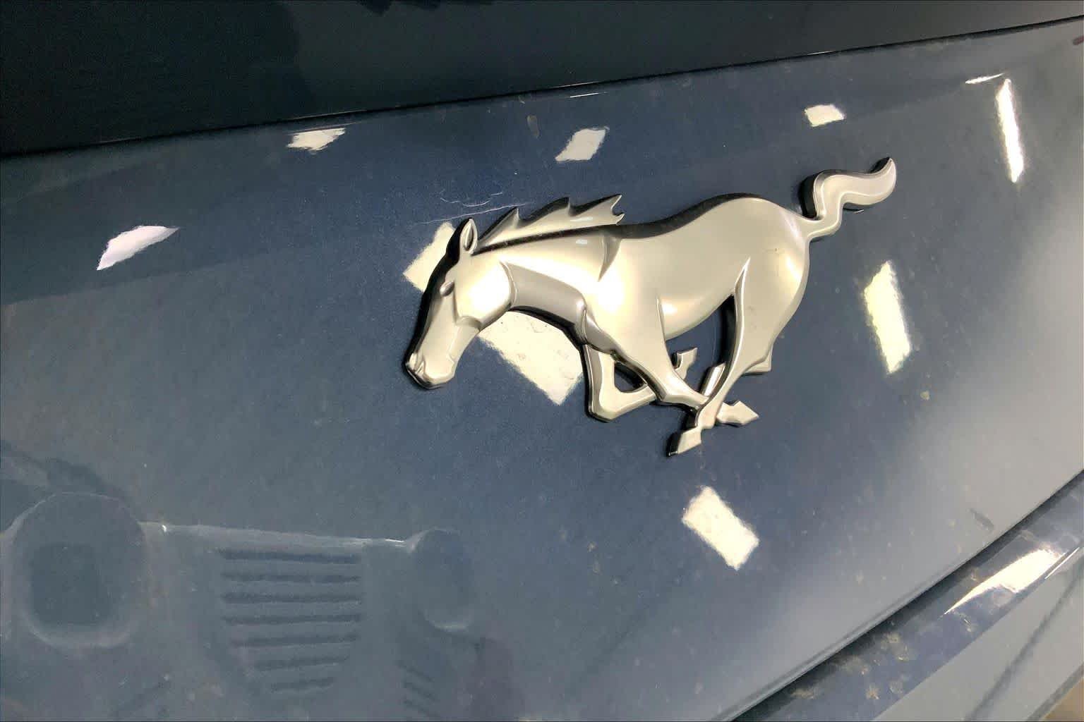 New 2026 Vapor Blue Metallic Ford EcoBoost® Fastback image 11