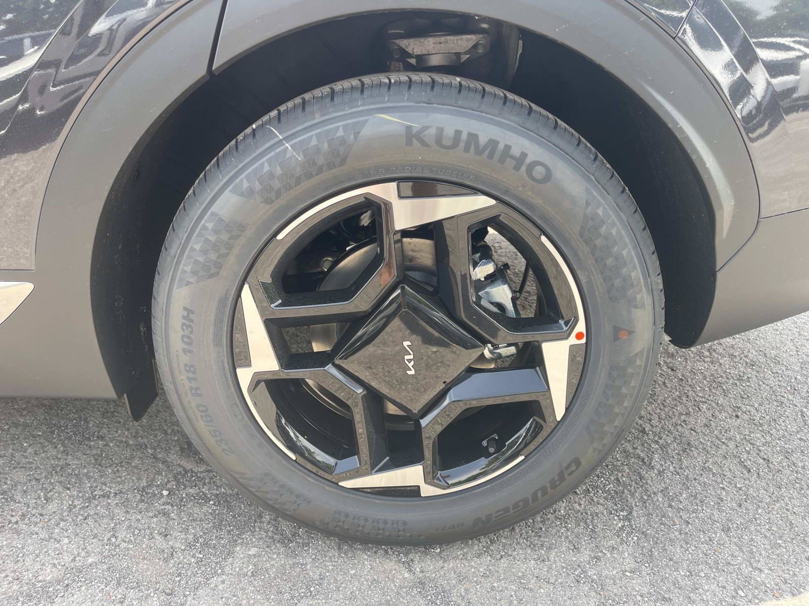 New 2026 Panthera Metal Kia EX image 11