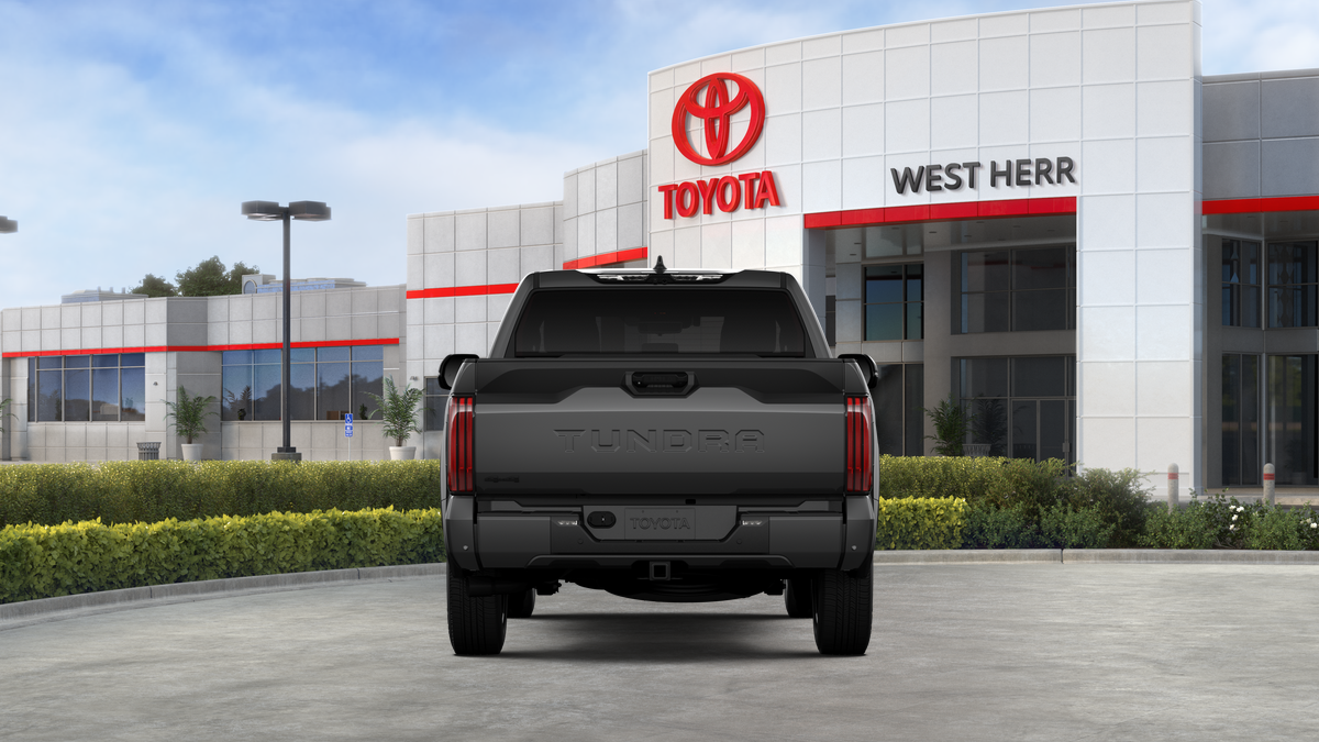 New 2026 Magnetic Gray Metallic Toyota Platinum image 19