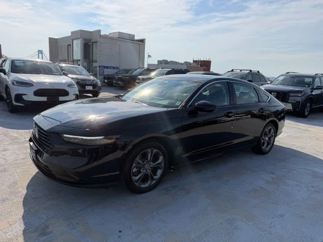 Used 2024 Gray Honda EX-L image 3