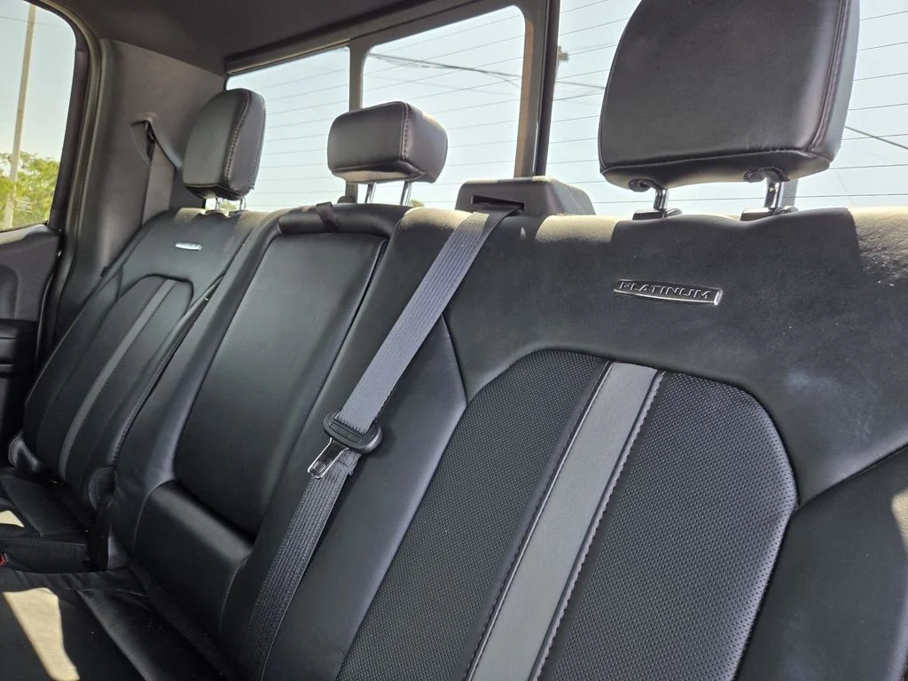 Used 2019 Magnetic Ford Platinum image 30