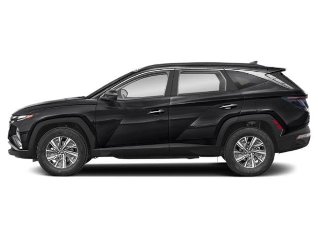 Used 2023 Phantom Black Hyundai Blue image 3