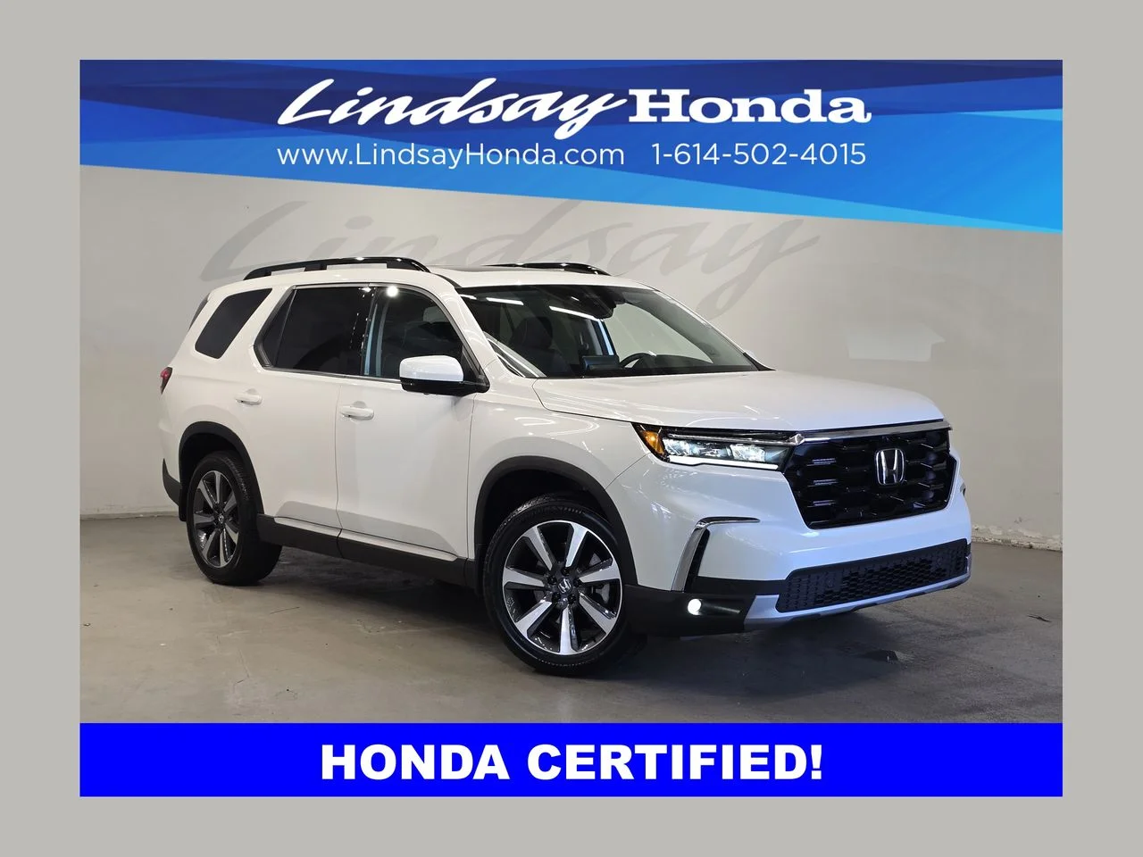 2025 Honda Pilot Elite AWD's photo