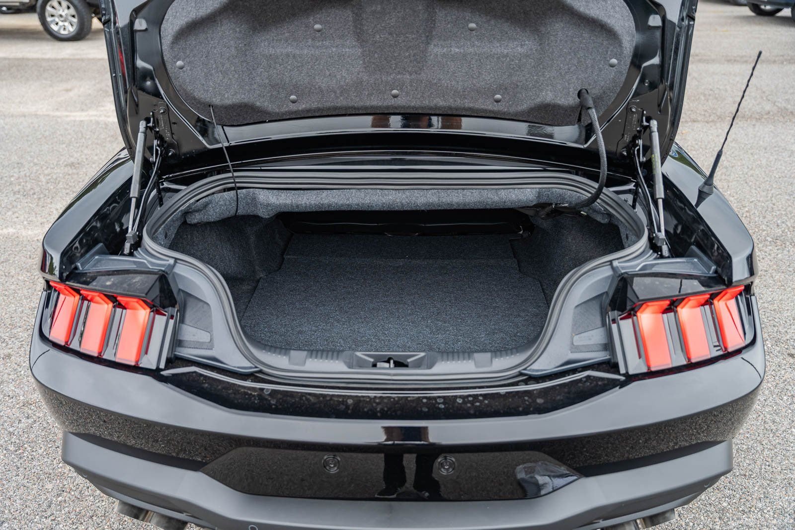2025 Ford Mustang EcoBoost Premium Convertible - Photo 15