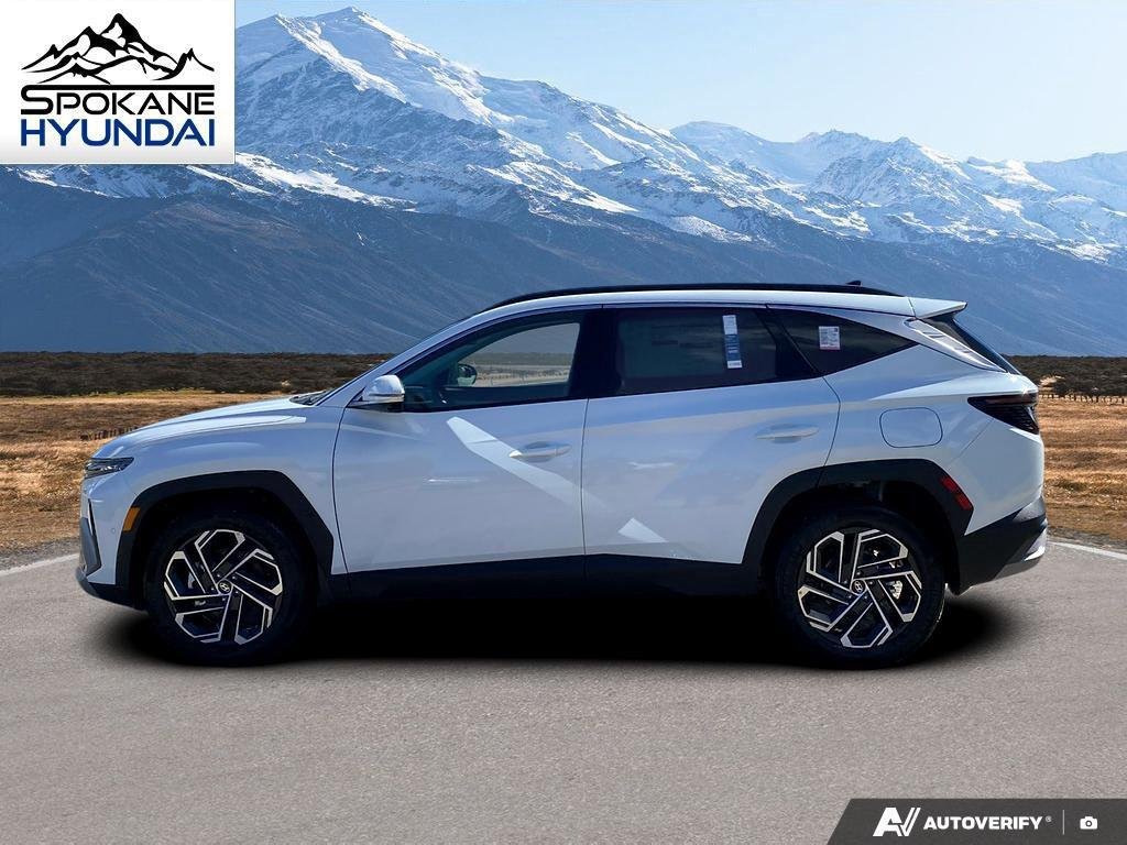 New 2026 Creamy White Pearl Hyundai Limited image 3