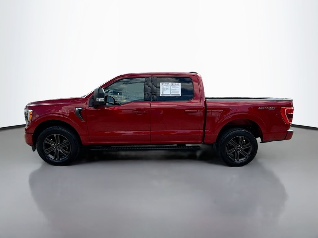 Used 2022 RAPID RED MET TINTED CC Ford XLT image 4