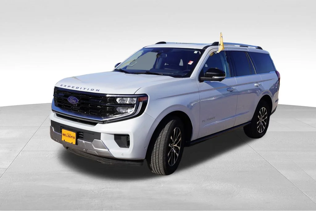Used 2025 Silver Ford Platinum image 11