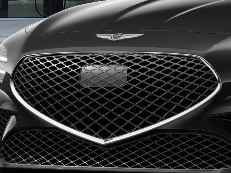New 2026 Vik Black Genesis 2.5T image 13