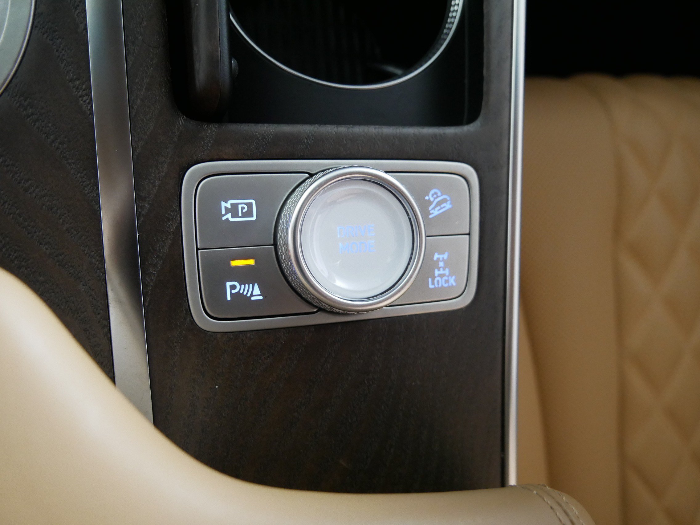 Certified Used 2024 Capri Blue Genesis  image 29