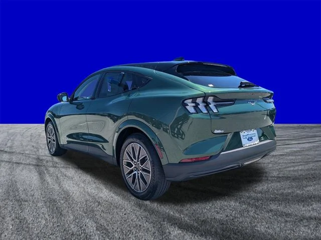 New 2026 Green Ford Premium image 5