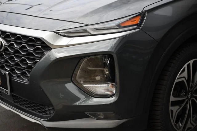 Used 2019 Rainforest Hyundai Limited image 13