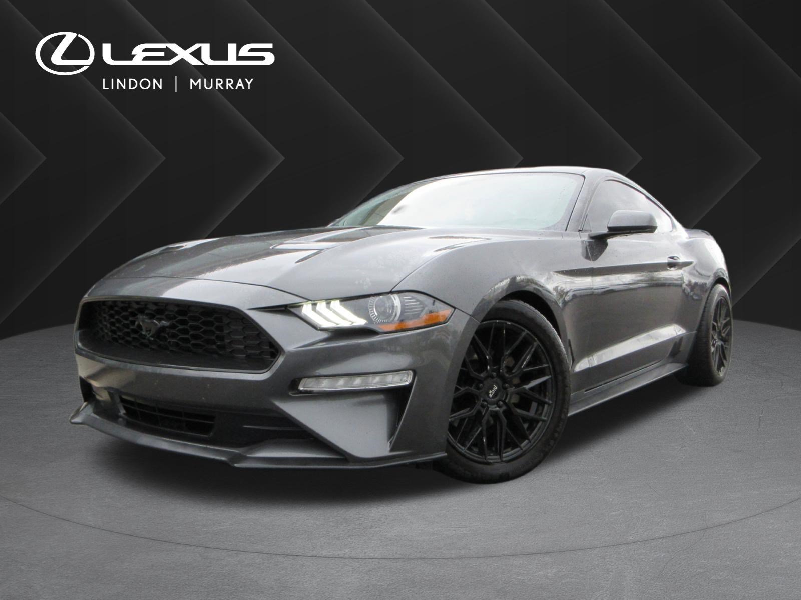 2019 Ford Mustang