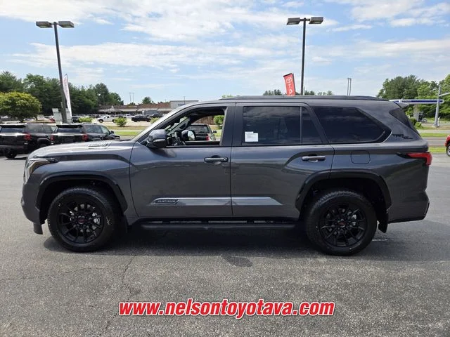 New 2026 Magnetic Gray Metallic Toyota Platinum image 4