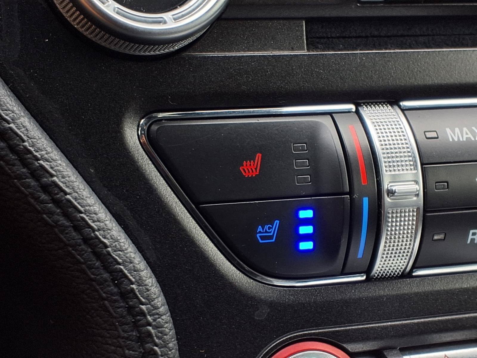 Used 2022 Brittany Blue Metallic Ford EcoBoost Premium image 3