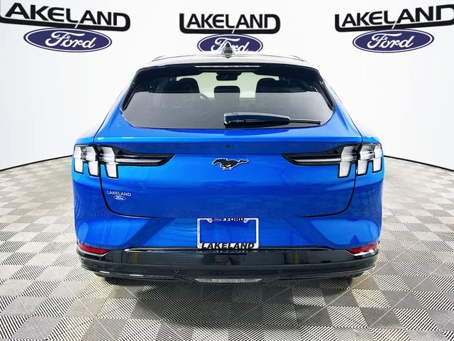 New 2026 Blue Ford Premium image 4