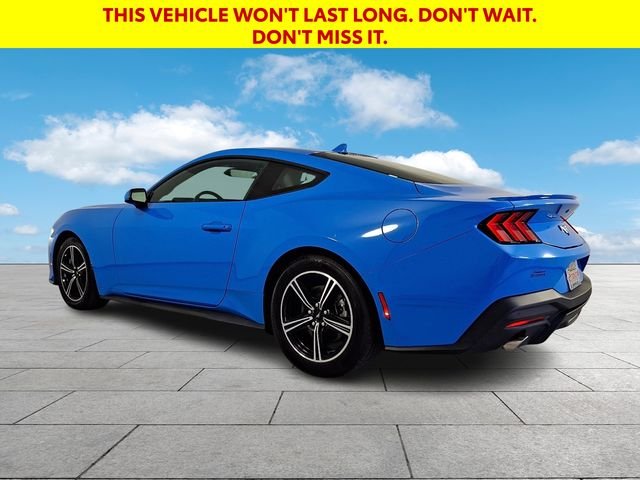 Used 2024 Blue Ford EcoBoost Premium image 5