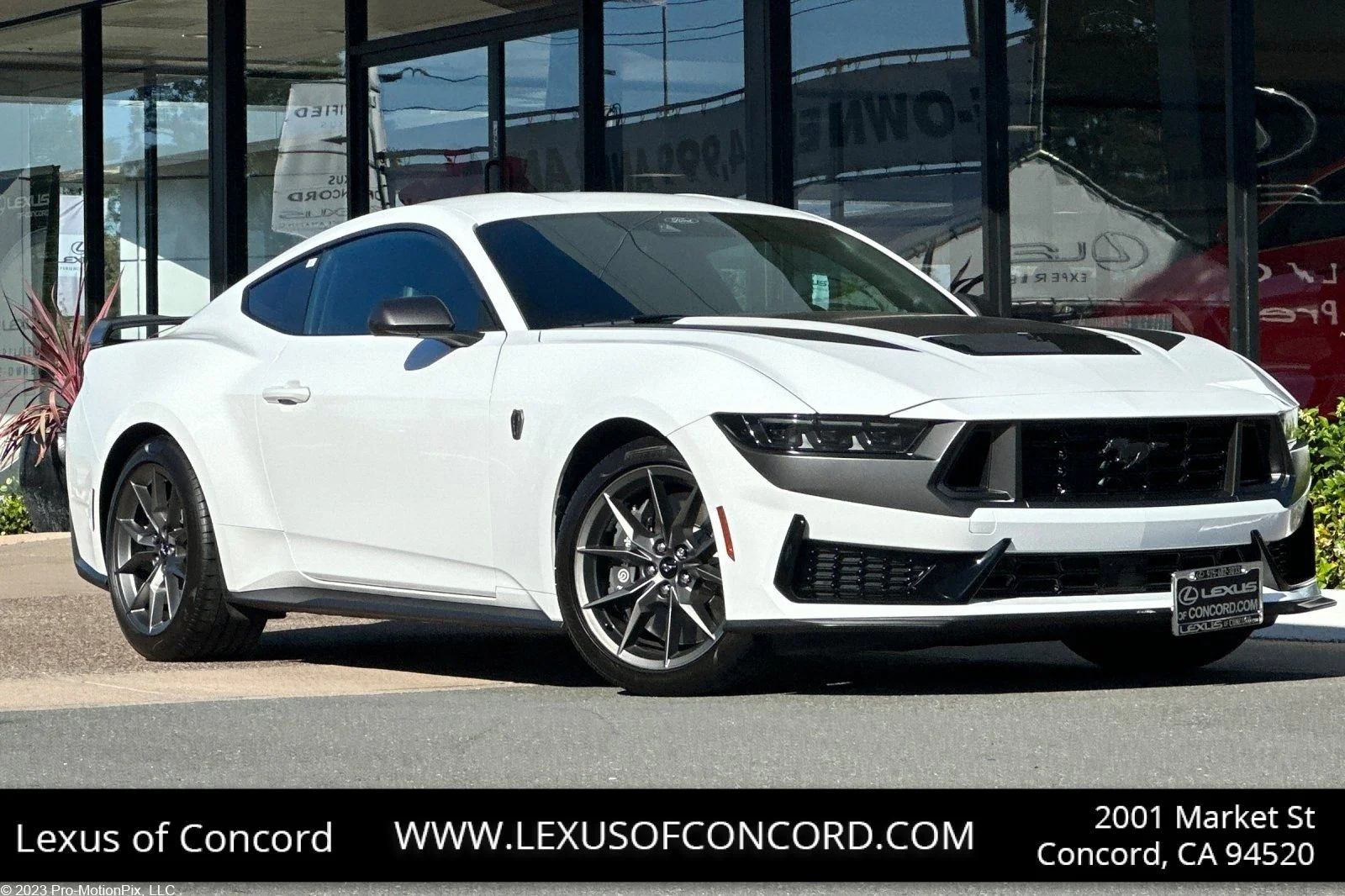 2024 Ford Mustang Dark Horse's photo