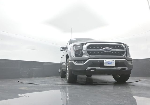 Used 2023 Gray Ford Platinum image 36