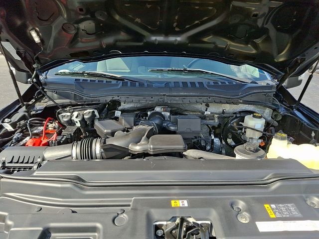 Used 2020 Blue Ford XLT image 29