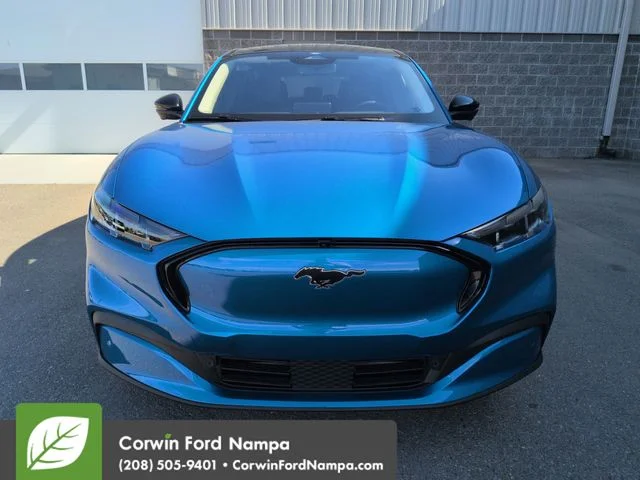 New 2026 Blue Metallic Ford Premium image 8