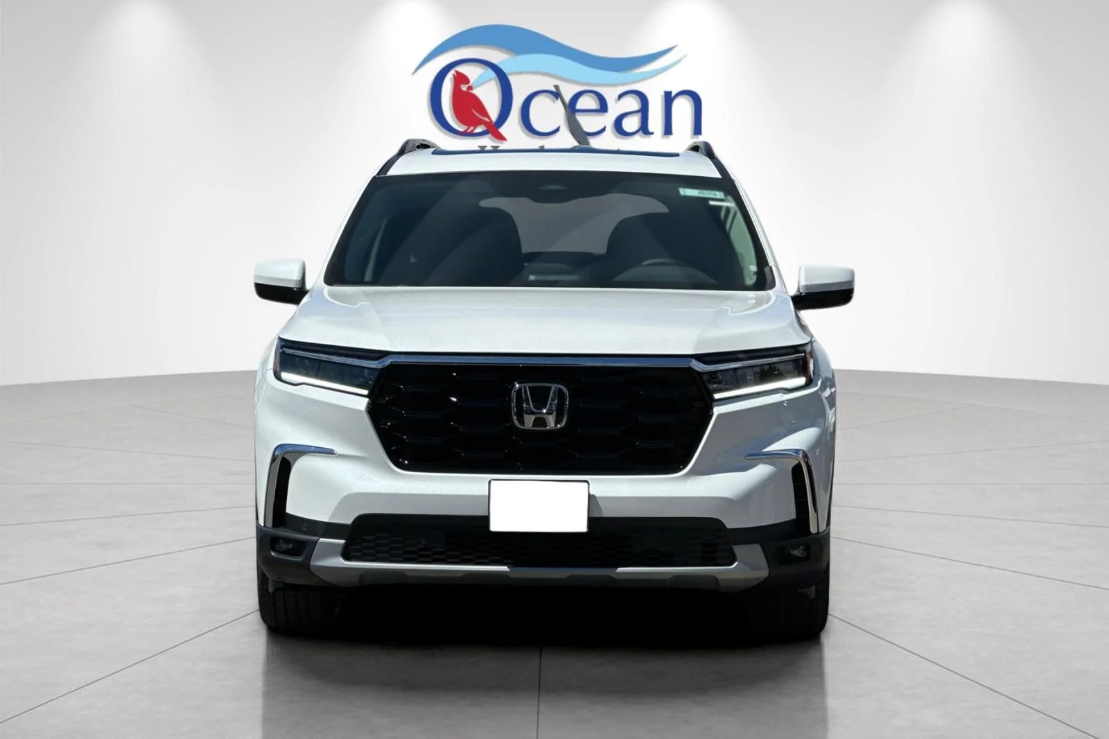 2025 Honda Pilot Touring - Photo 9