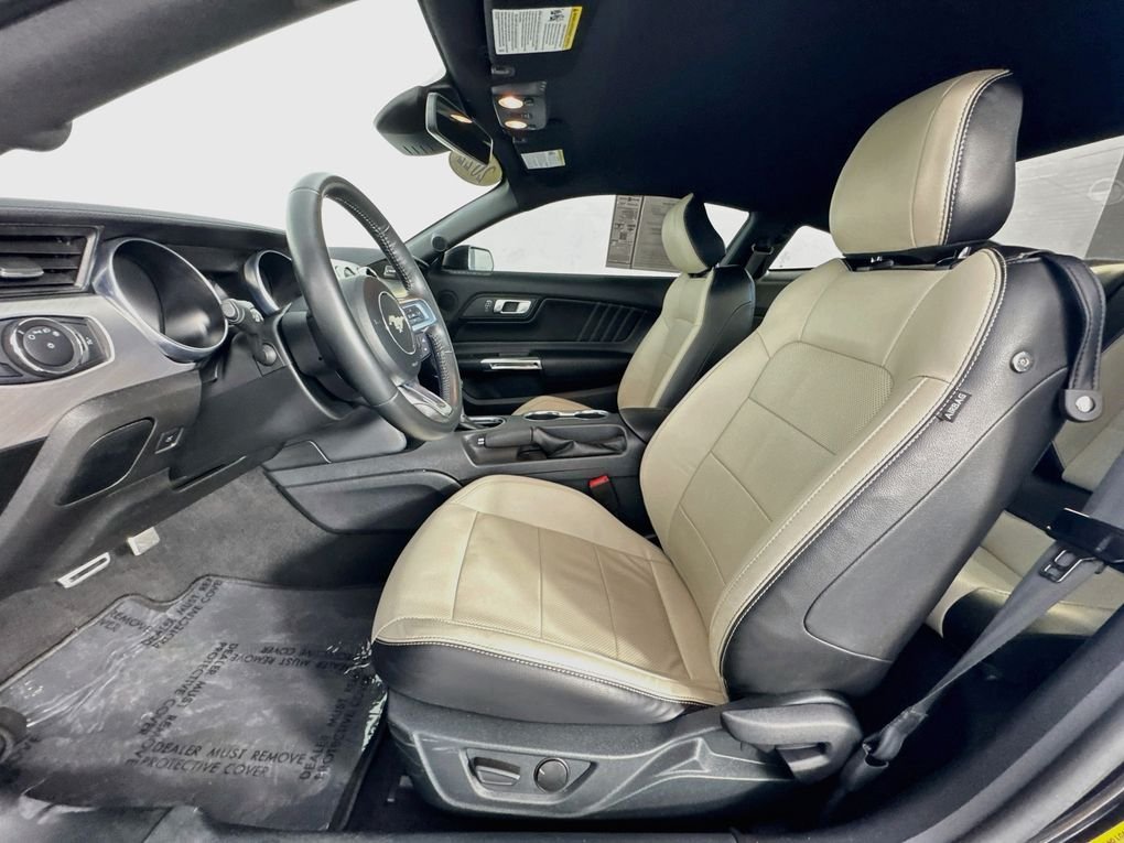 Used 2022 Gray Ford EcoBoost Premium image 12