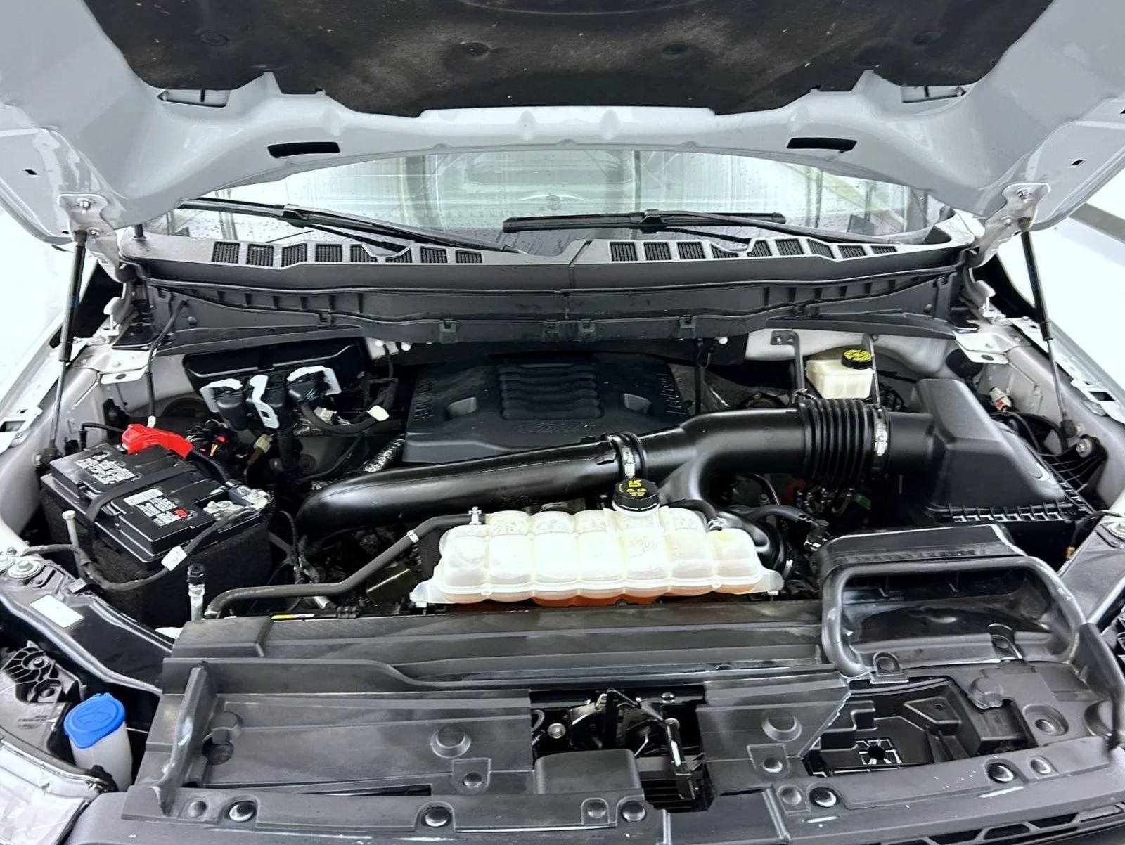 Used 2023 White Ford Tremor image 25