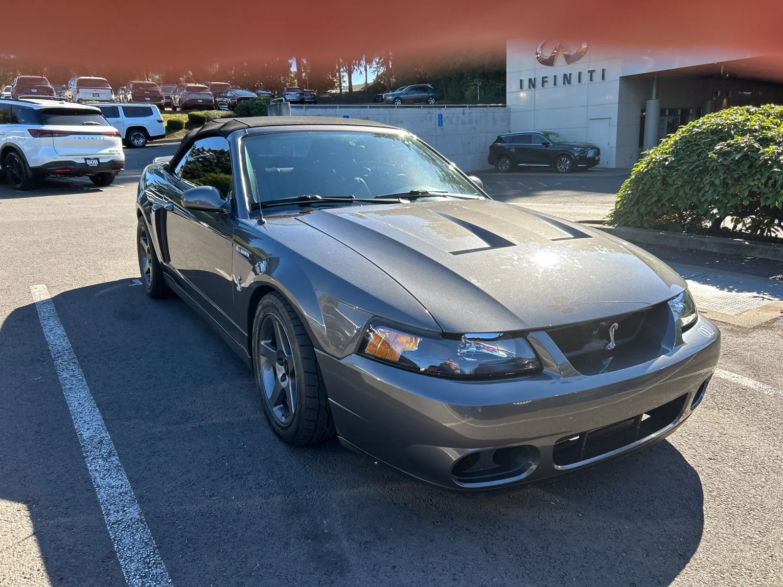 Used 2003 Dk. Ford Cobra image 3
