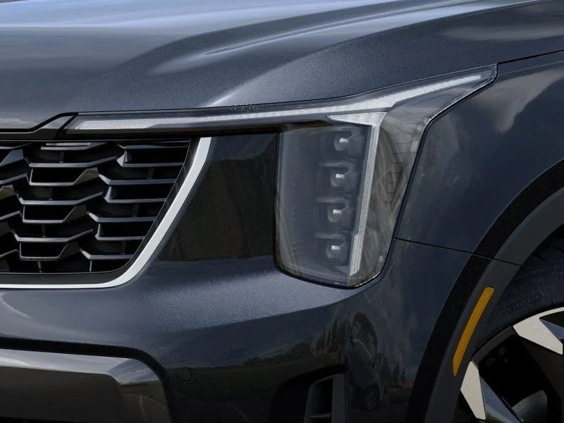 New 2026 Panthera Metal Kia EX image 10