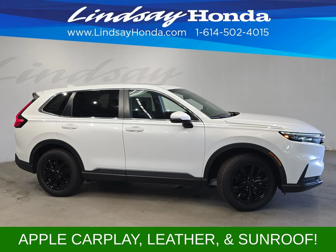 Used 2024 Platinum White Pearl Honda EX-L image 3