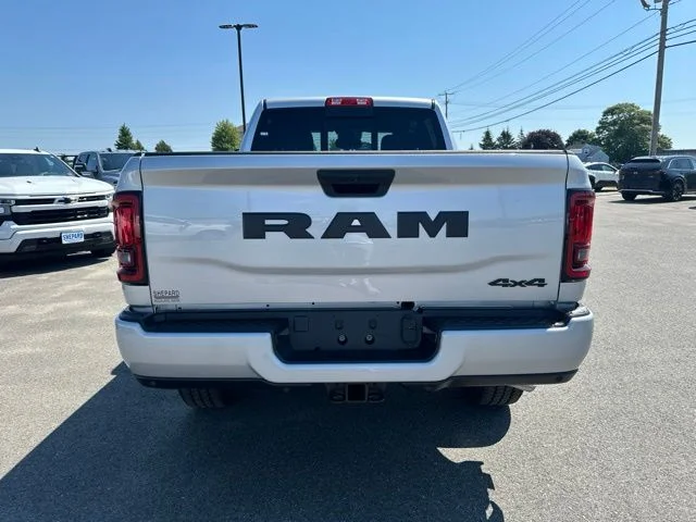 New 2026 Silver-Zynith Exterior Paint RAM  image 5