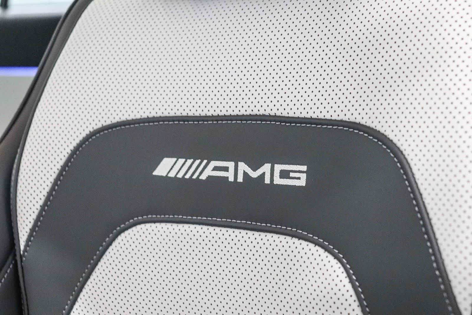 New 2026 MANUFAKTUR Alpine Grey Mercedes-Benz AMG® E 53 E image 27