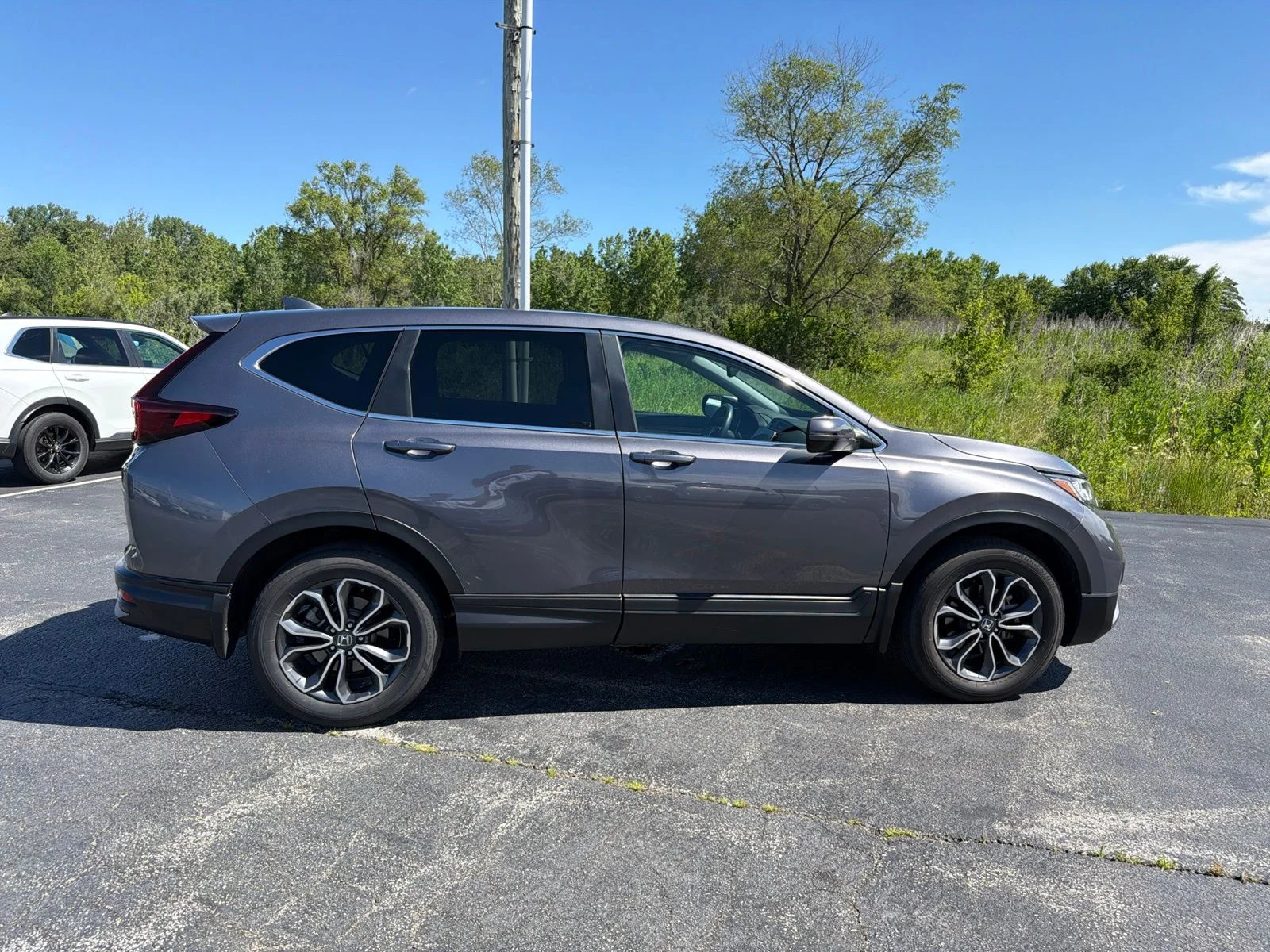 Used 2021  Honda EX-L image 7