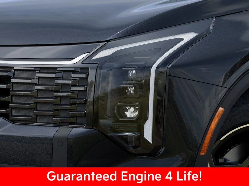 New 2026 Panthera Metal Kia EX image 12