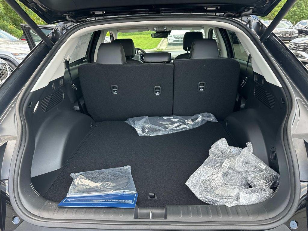 2025 Hyundai IONIQ 5 SEL - Photo 29
