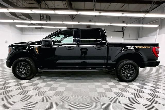 2023 Ford F-150 Tremor - Photo 15