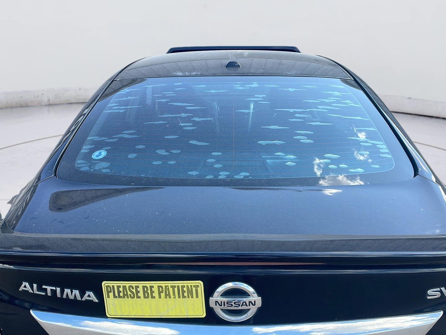 Used 2013 Super Black Nissan 2.5 SV image 7