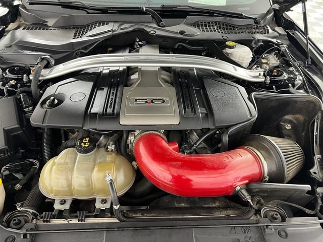 Used 2018 Black Ford GT image 23