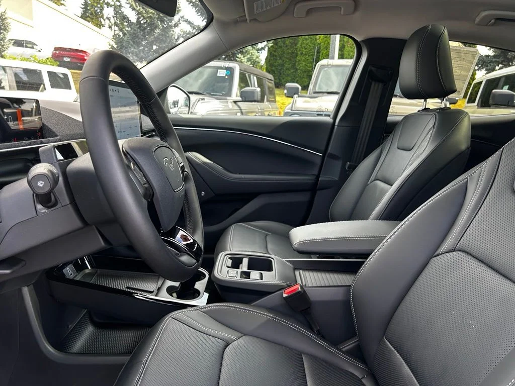New 2026 Shadow Black Ford Premium image 17