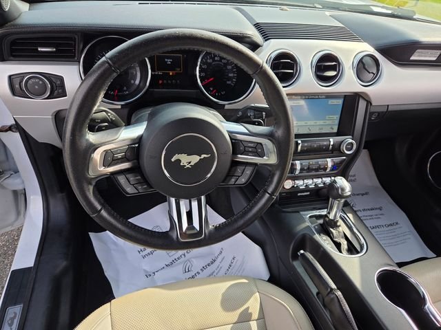 Used 2017 White Ford EcoBoost Premium image 7