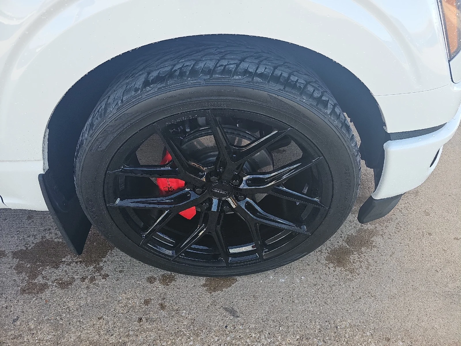 Used 2025 White Ford Black Widow Supercharged image 4