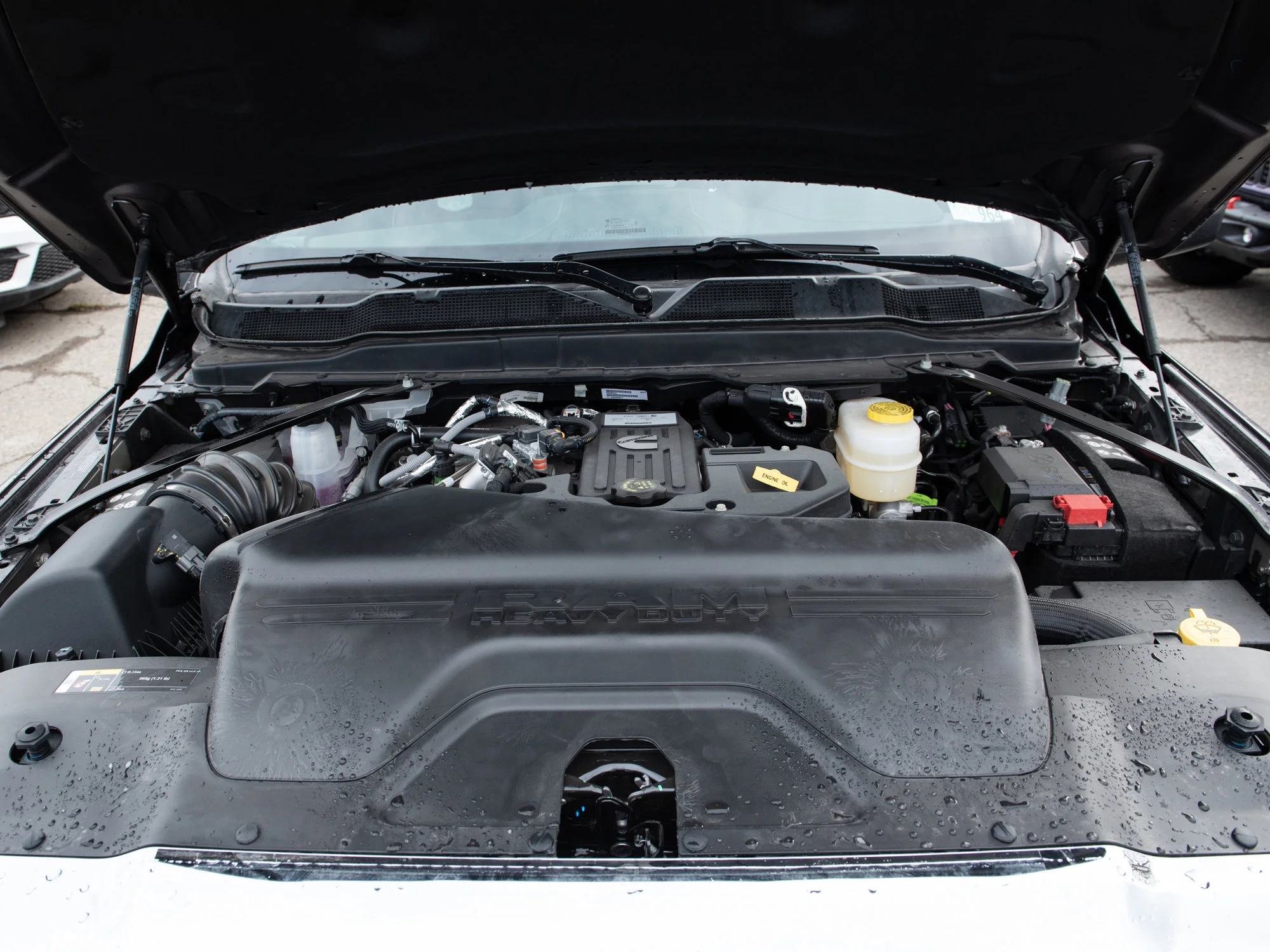 New 2026 Grey RAM Limited* image 11